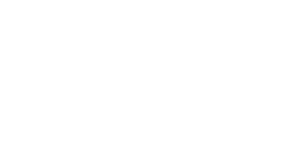 Onyx Logo